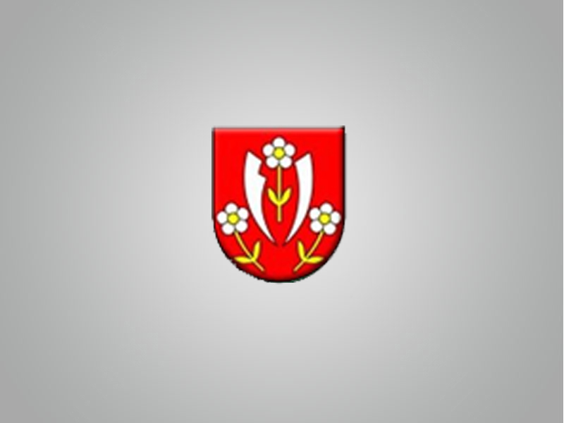 Web vytvorený Vládou SR, týkajúci sa koronavírusu.