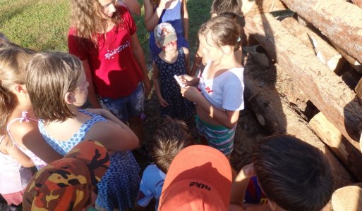 Memoriál Dežka Štrbu 2016