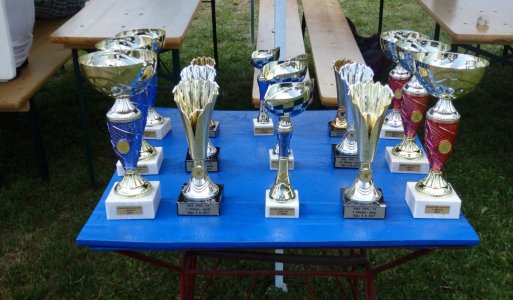 Hasičská súťaž o pohár obce Ilija