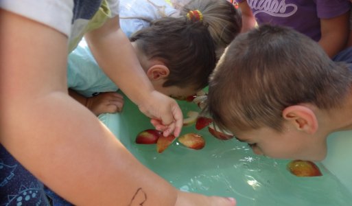 Memoriál Dežka Štrbu