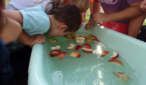 Memoriál Dežka Štrbu