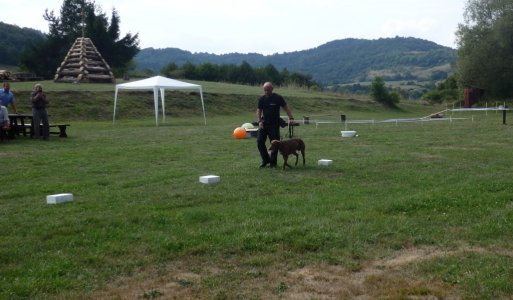 Memoriál Dežka Štrbu