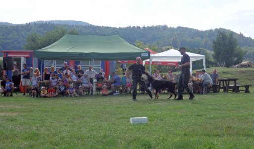 Memoriál Dežka Štrbu