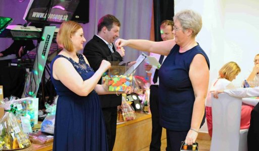 V. ročník Ilijsky ples