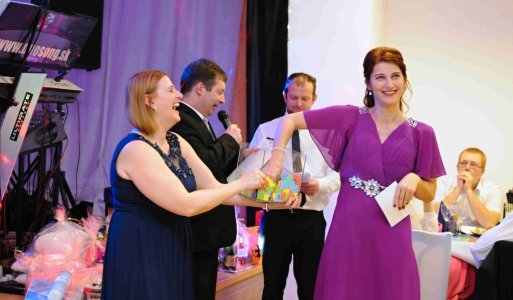 V. ročník Ilijsky ples