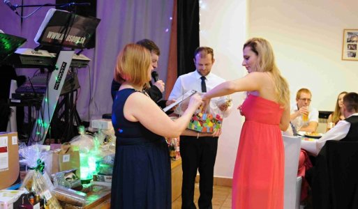 V. ročník Ilijsky ples