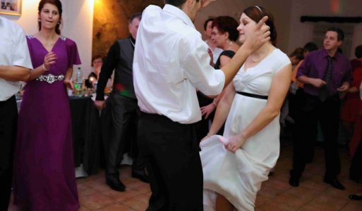 V. ročník Ilijsky ples