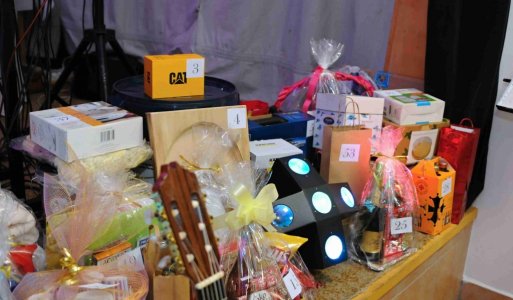 V. ročník Ilijsky ples