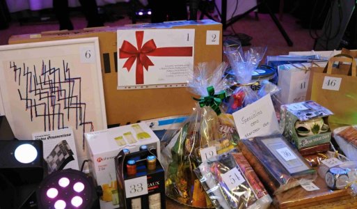 V. ročník Ilijsky ples