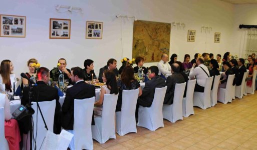 V. ročník Ilijsky ples