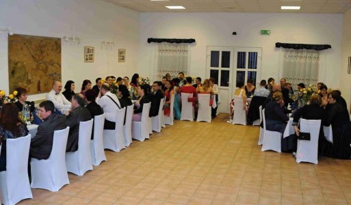 V. ročník Ilijsky ples