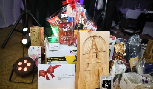 VI. ročník Ilijsky ples