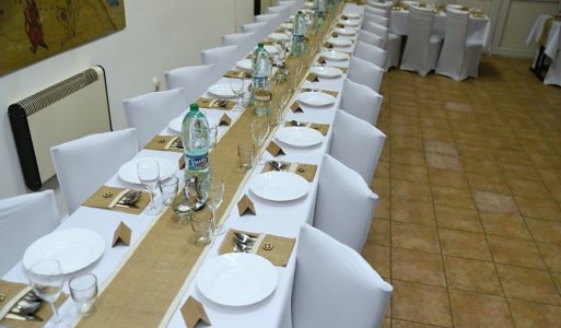 VI. ročník Ilijsky ples