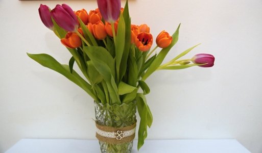 VI. ročník Ilijsky ples