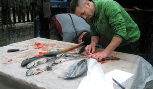 Vianočné trhy 2014